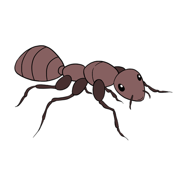 Муравей Картун