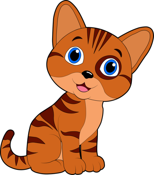 Кот на белом фоне мультяшный