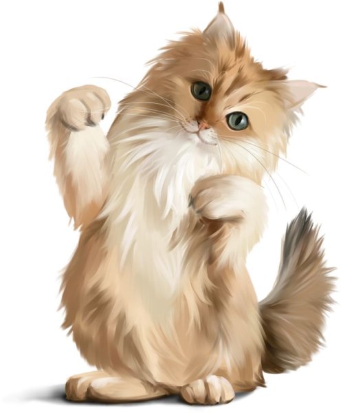 Коты клипарт