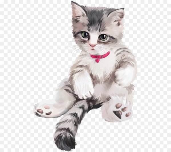 Красивый котик на прозрачном фоне