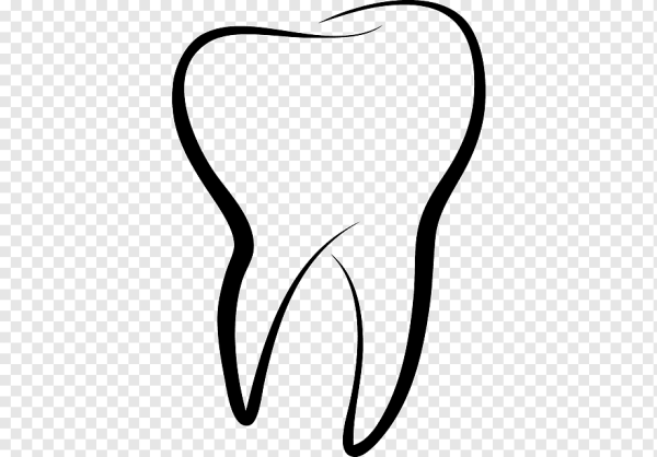 Очертания зуба