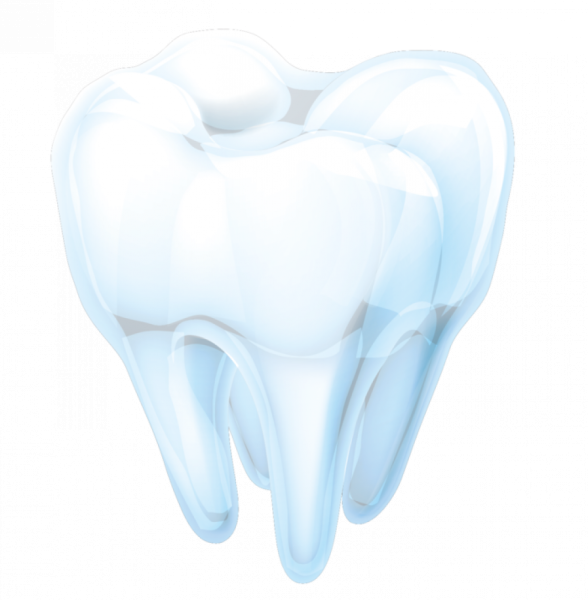 Изображение зуба