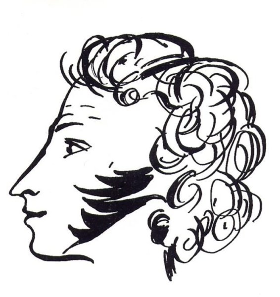 Пушкин профиль