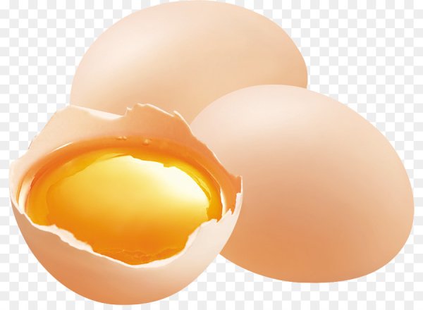 Яйцо без фона