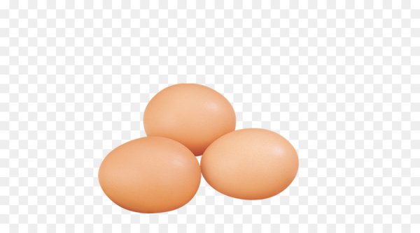 Яйца куриные на прозрачном фоне