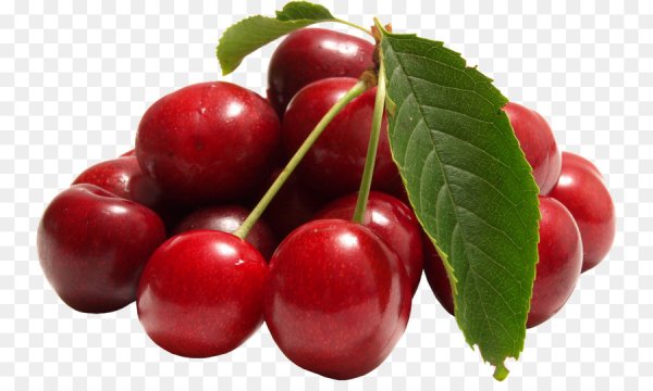 Косточковые плоды вишня