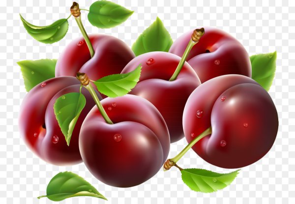 Ягоды клипарт