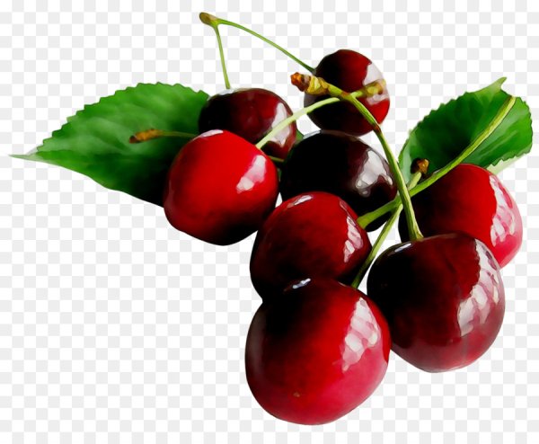 Вишня на белом фоне