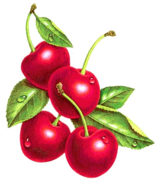 Вишня для детей