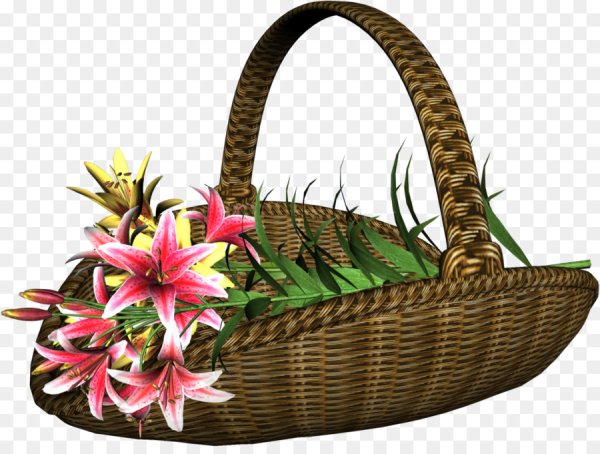 Корзинка растение