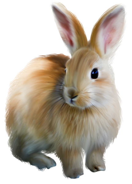Кролик на прозрачном фоне
