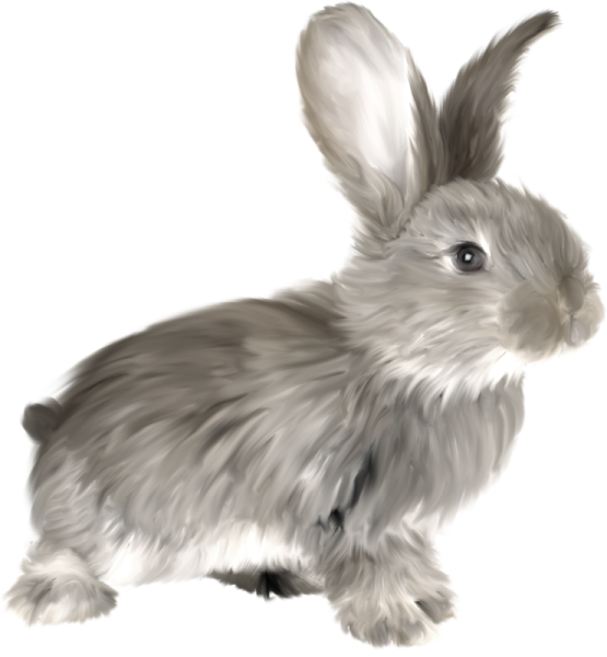 Заяц серый для детей