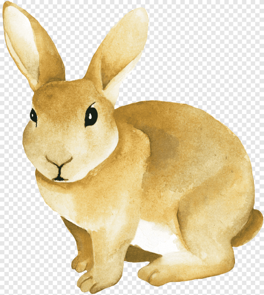 Год кролика на прозрачном фоне