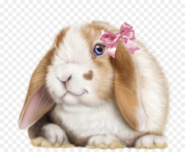 Кролик для дошкольников