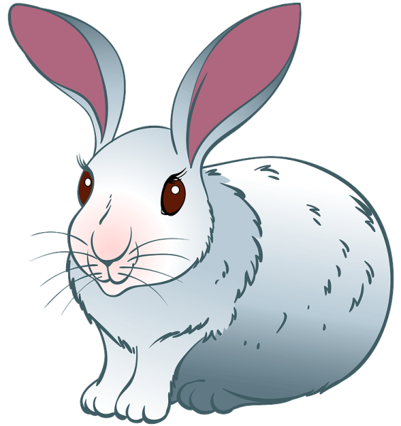 Милашный кролик клипарт