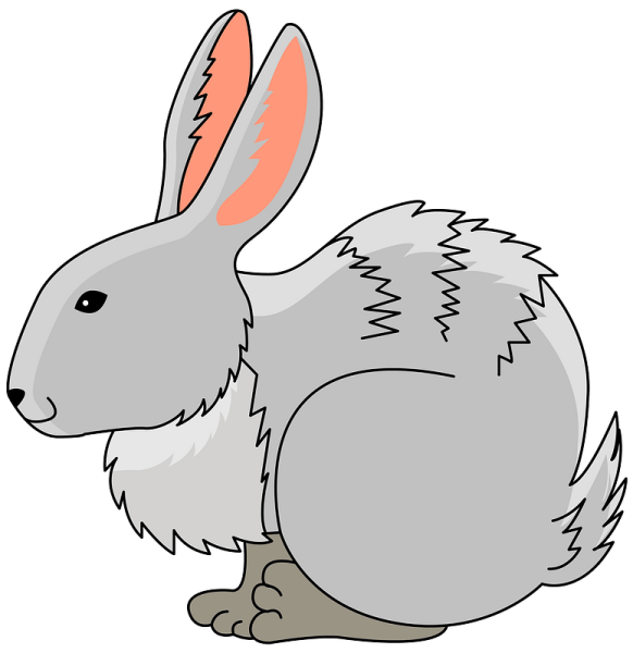 Бунни рэббит
