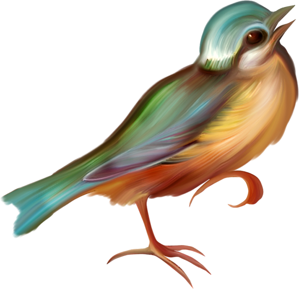 Птички на прозрачном фоне