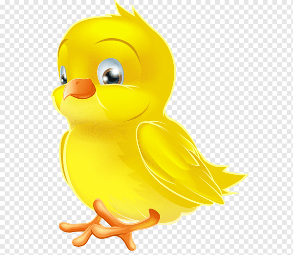 Птички на ветке мультяшные