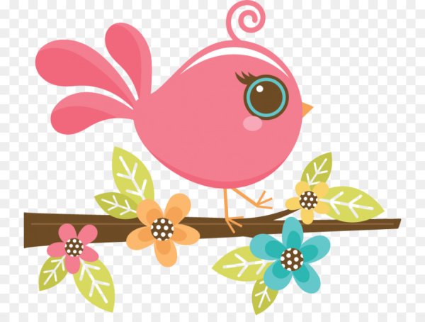 Птички для малышей