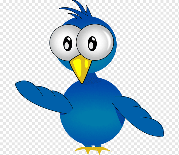 Птичка клипарт