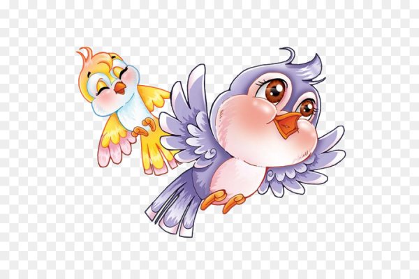 Птичкаина прозрачном фоне