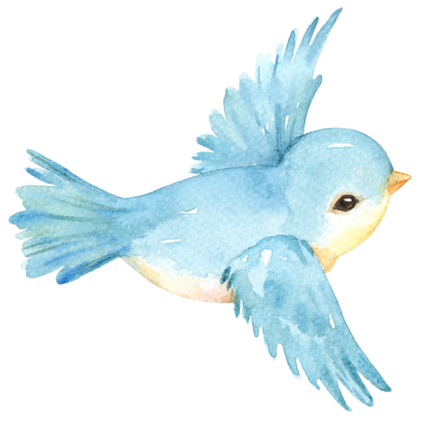 Мультяшные птицы