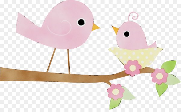 Красивые птицы на прозрачном фоне