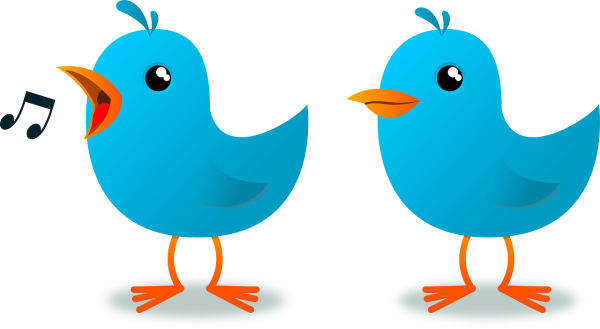 Птички для детей