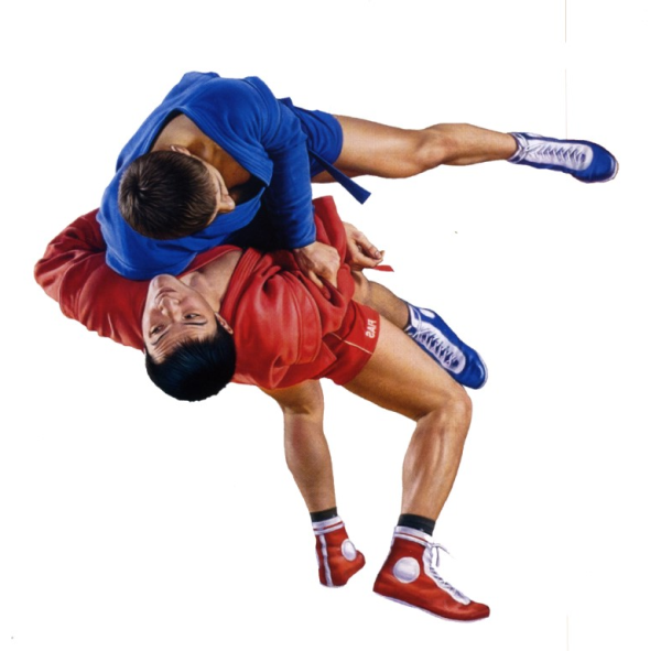 Гулевич Звягинцев борьба самбо 1968