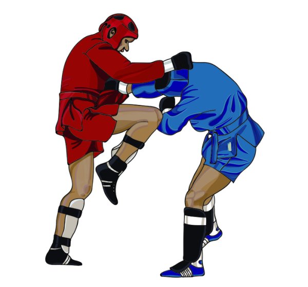 Самбо вектор