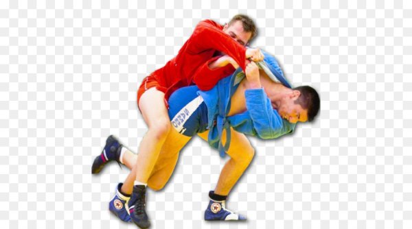 Самбо вектор