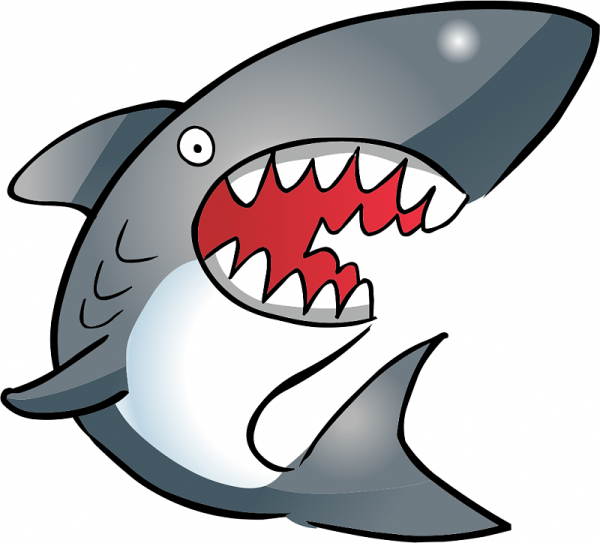Акула рисунок