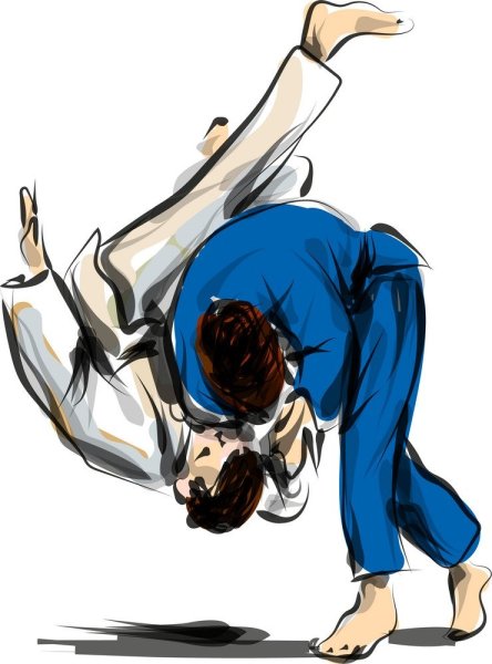 Дзюдо аниме