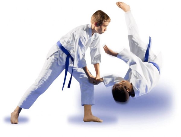 Карате дзюдо