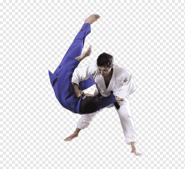 Дзю-дзюцу (джиу-джитсу)