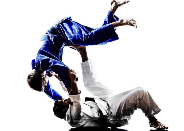 Боевые искусства