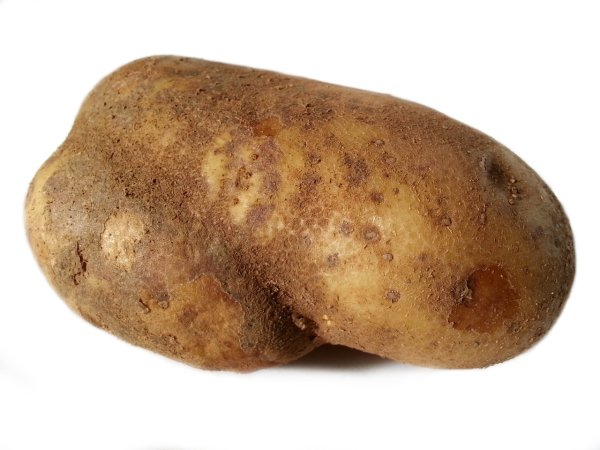 Рассет Бурбанк