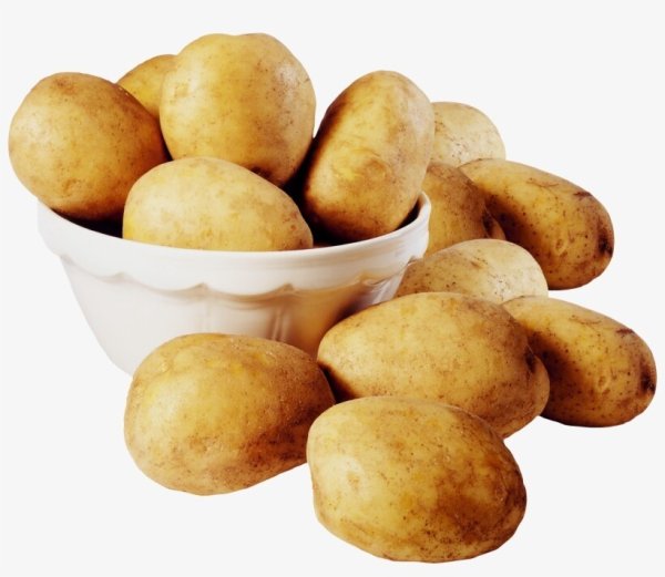 Картофель пдф