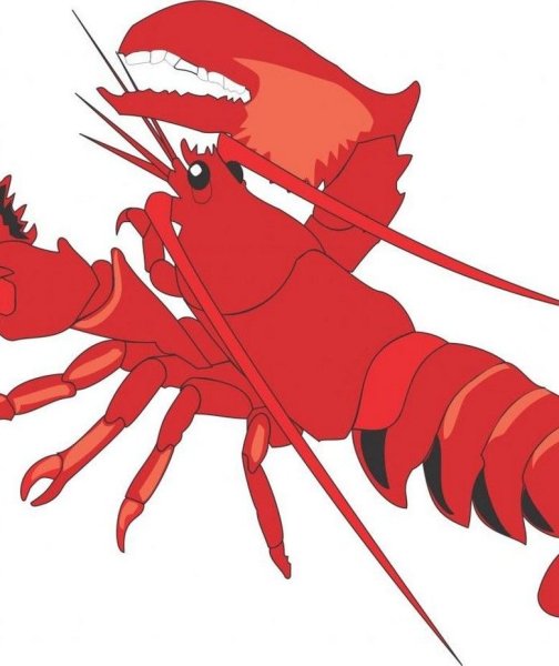Красный лобстер