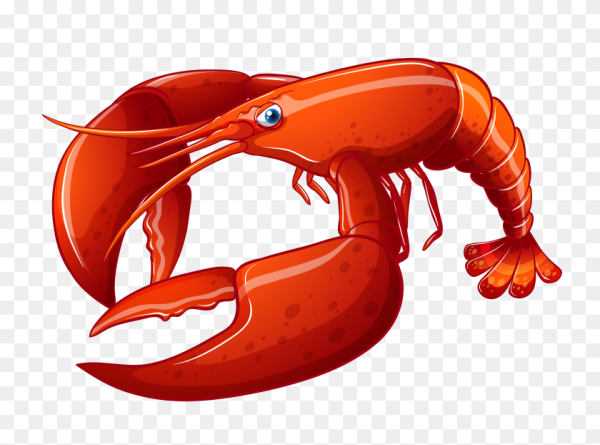 Лобстер нарисованный