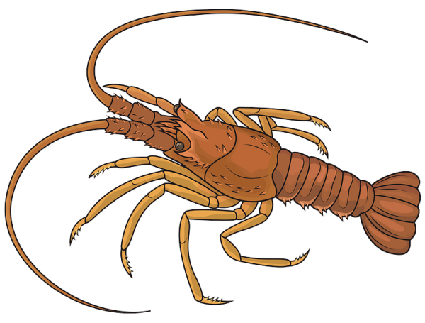 Мультяшный лангуст