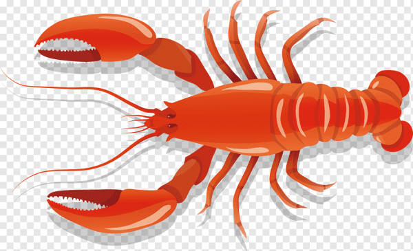 Омар вектор