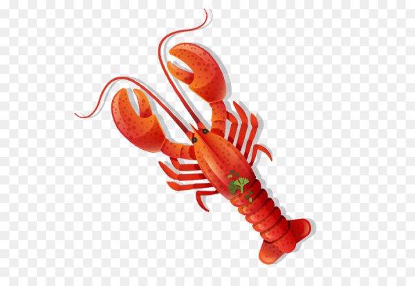 Рачки вектор