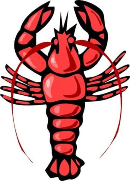 Ракк картинка для детей