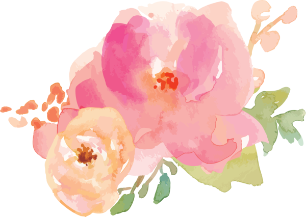 Акварельные цветы и перья