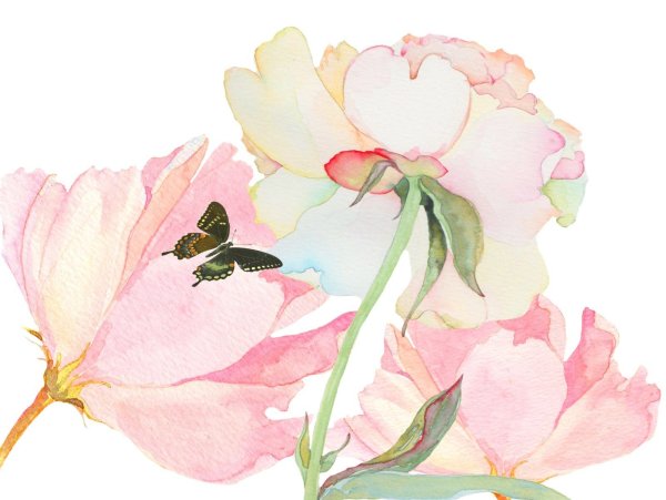 Голубые Акварельные цветы