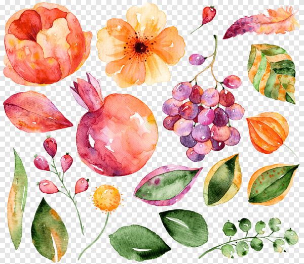 Акварельные цветы на белом фоне