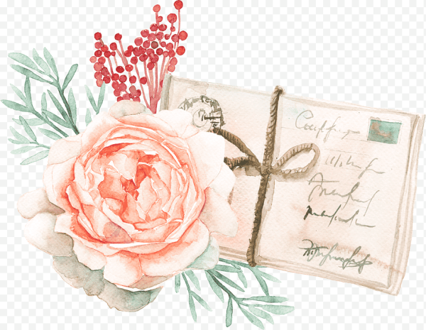 Акварельные цветы на белом фоне