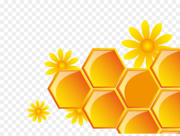 Медовые соты вектор