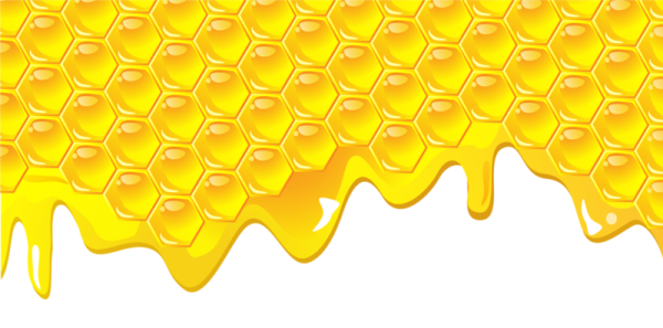Пчелиные соты на белом фоне